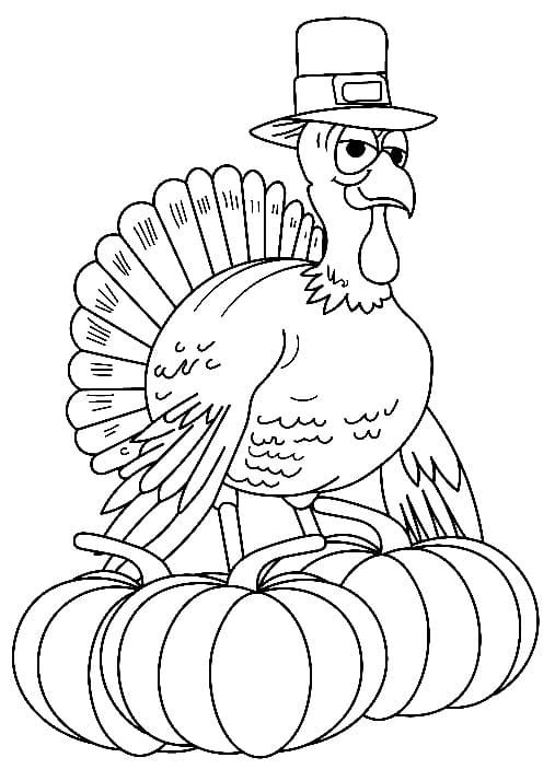 Turkey and pumpkins coloring page