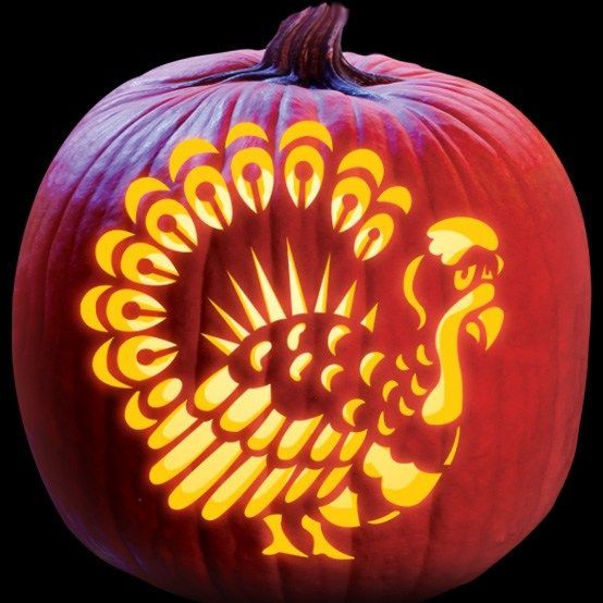 Amazing turkey pattern for pumpkin carving in the world access here halloween pumpkin carving stencils pumpkin carving pumpkin carvings stencils