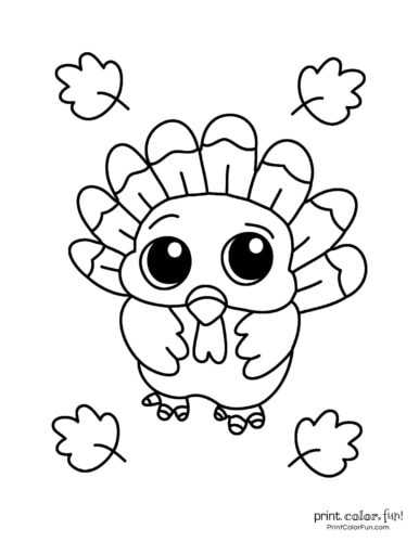 Terrific thanksgiving turkey coloring pages for some free printable holiday fun at