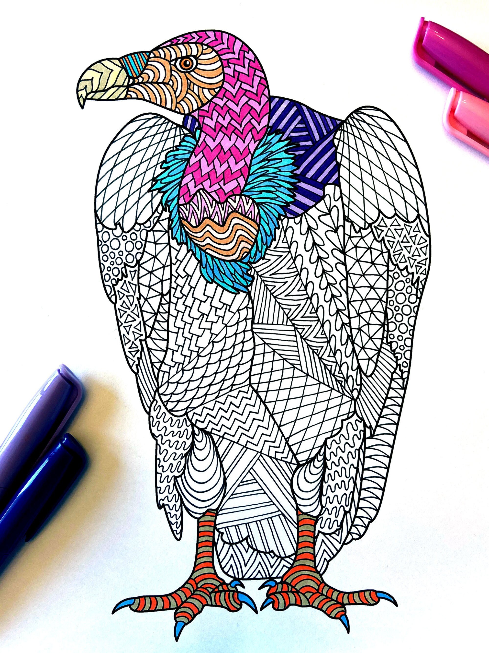 Vulture pdf animal coloring page