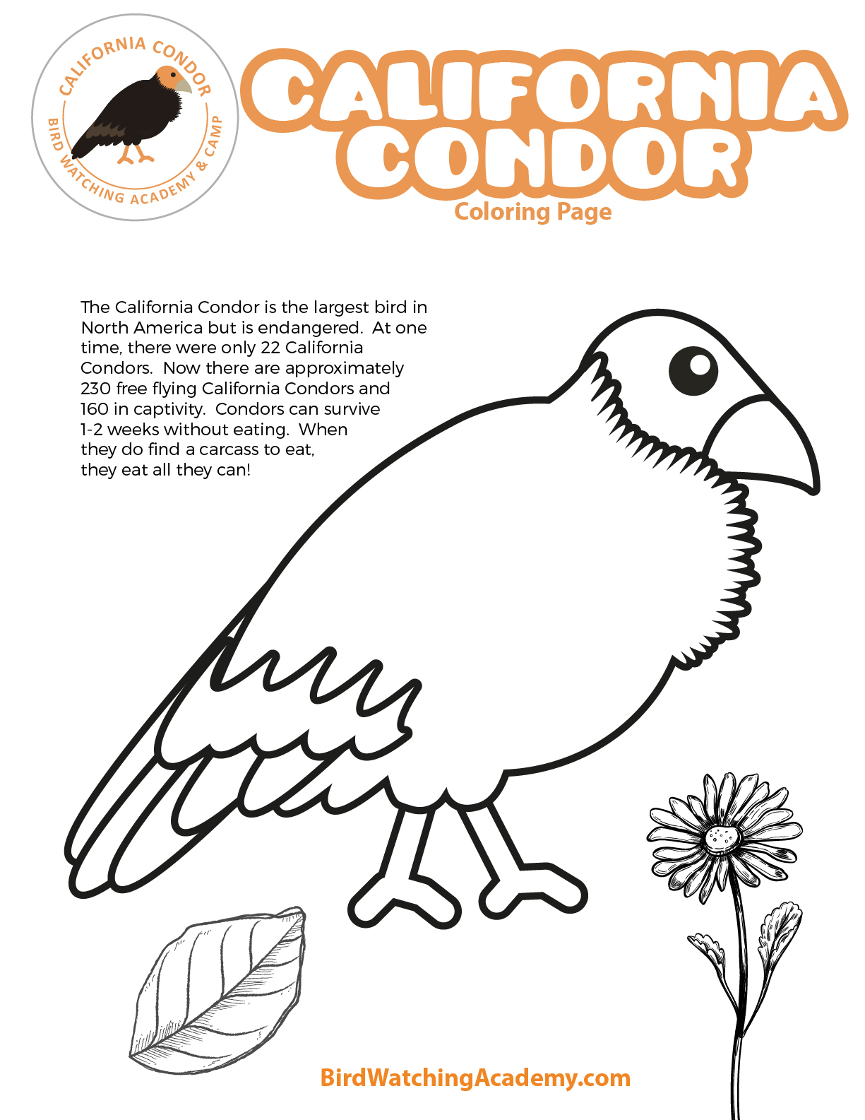 California condor coloring page