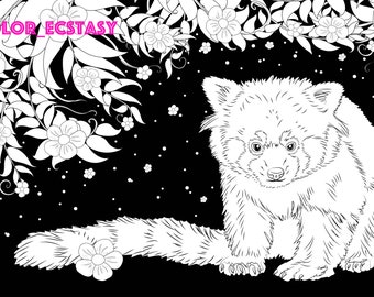 Red panda page coloring book download line drawing illustration coloring page digital download adult coloring pages