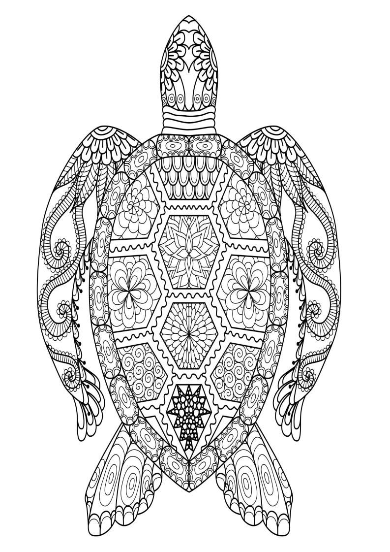 Mindfulness coloring turtle turtle coloring pages free adult coloring pages mandala coloring pages