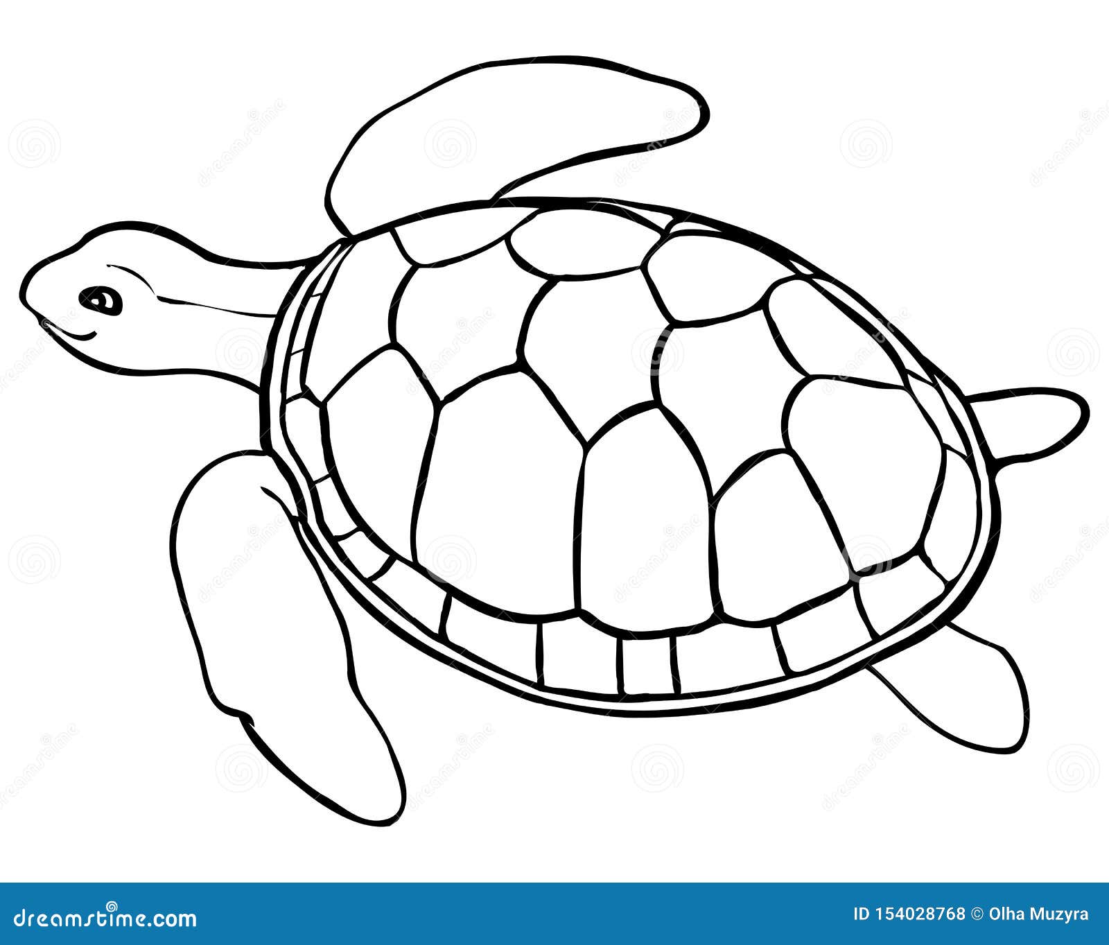 Contour turtle