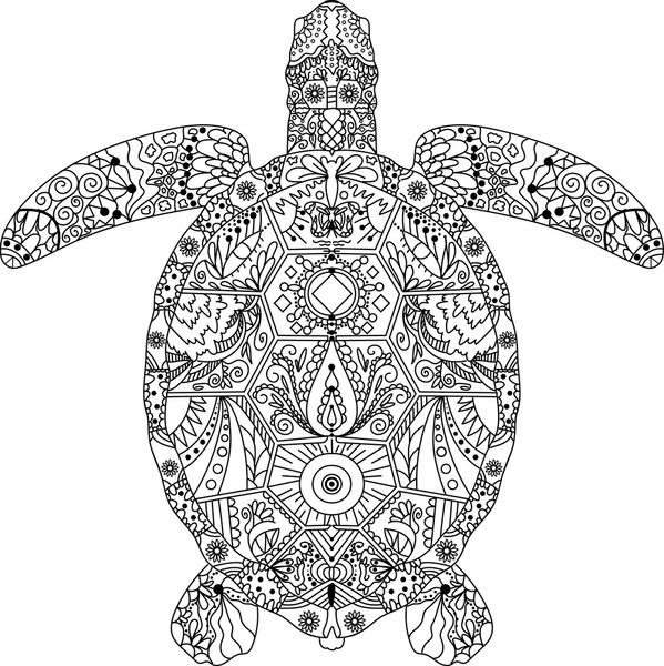 Adult coloring pages turtles images stock photos d objects vectors