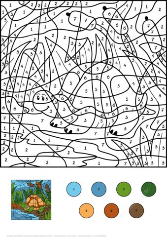 Turtle in pond color by number coloring page from color by number worksheets category select â coloring pages free printable coloring pages fall coloring pages