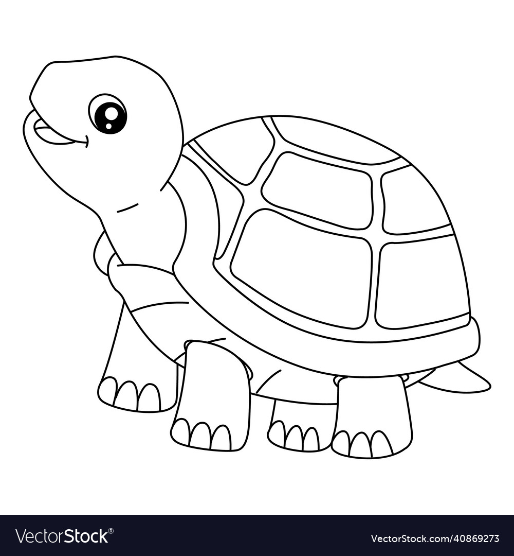 Turtle coloring page for isolated kids royalty free vector