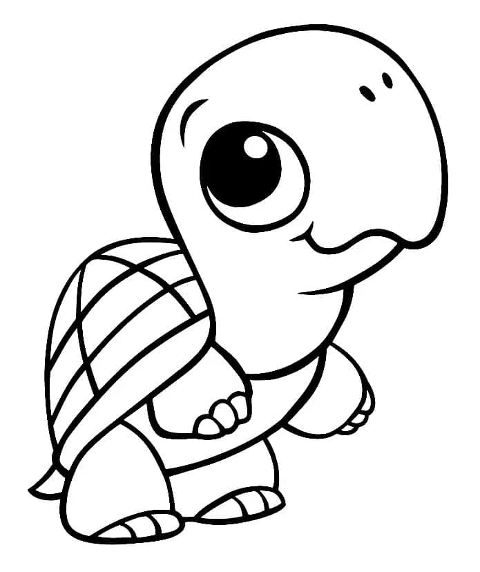 Cute baby turtle coloring page