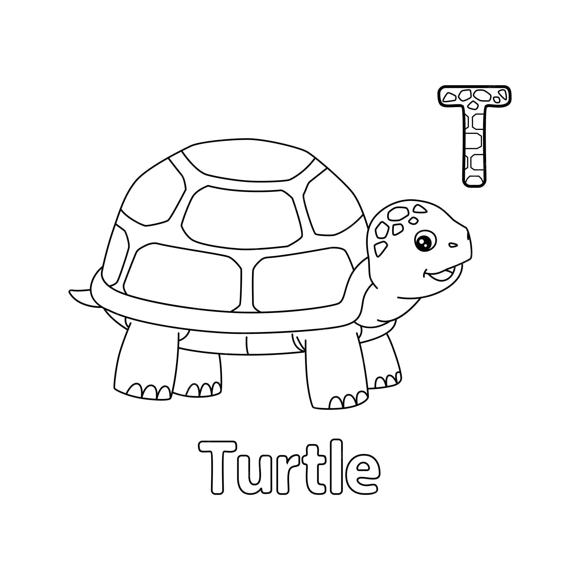 Premium vector turtle alphabet abc coloring page t