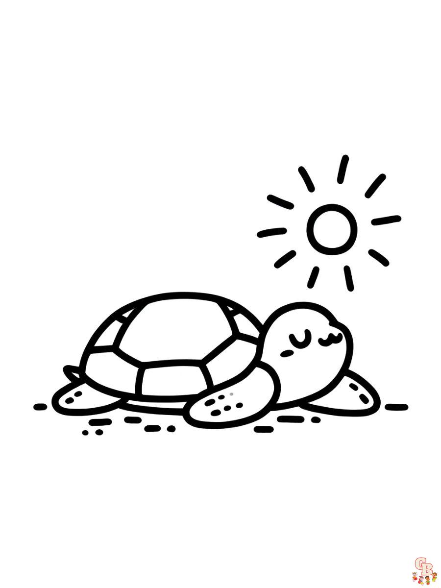 Turtle coloring pages