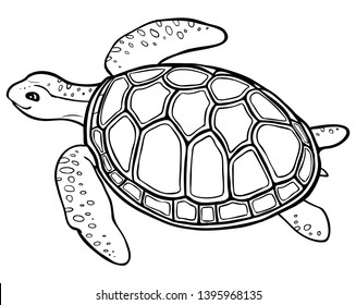 Big turtle contour drawing coloring page stock vector royalty free