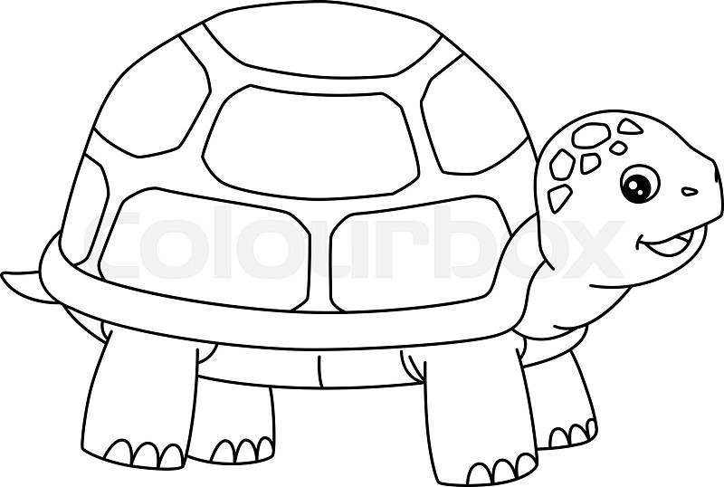 Turtle coloring page isolated for kids stock vector