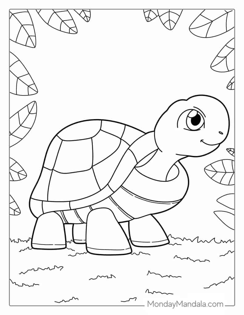 Turtle coloring pages free pdf printables