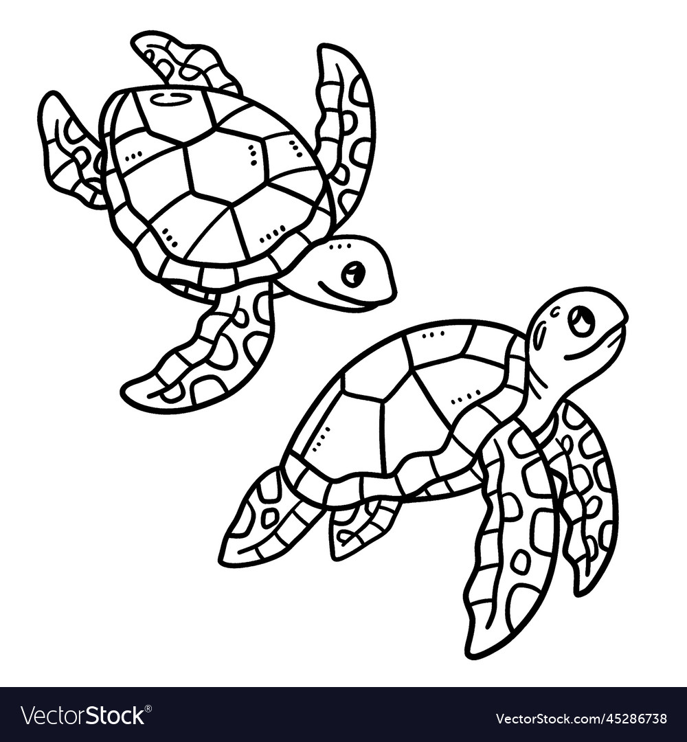 Baby turtle isolated coloring page for kids vector image