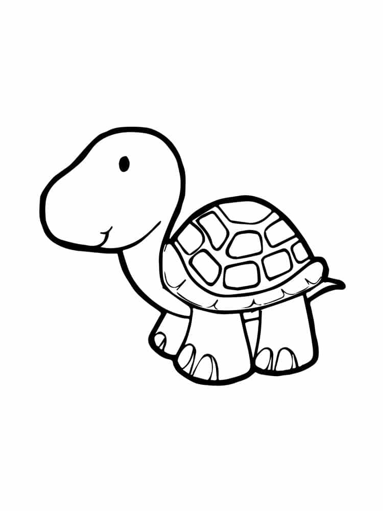 A simple drawing of a small land turtle coloring page