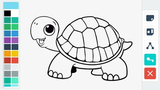 Turtle coloring book