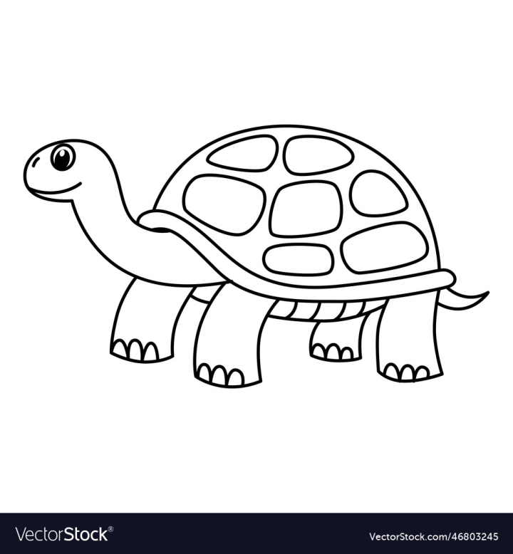 Free cute turtle cartoon coloring page for