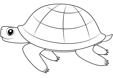 Turtles coloring pages free coloring pages