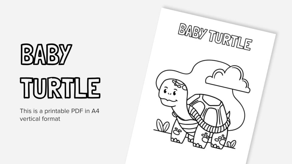 Baby turtle printable coloring worksheet