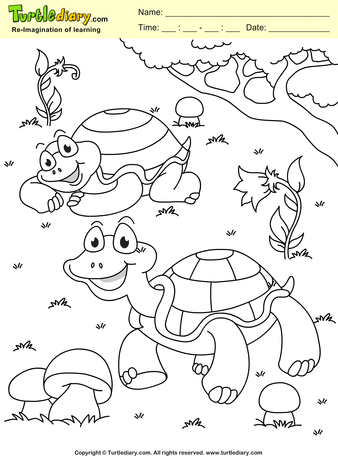 Turtle coloring sheet turtle diary