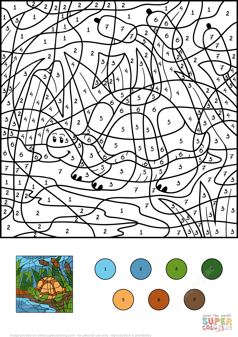 Turtle in pond color by number free printable coloring pages