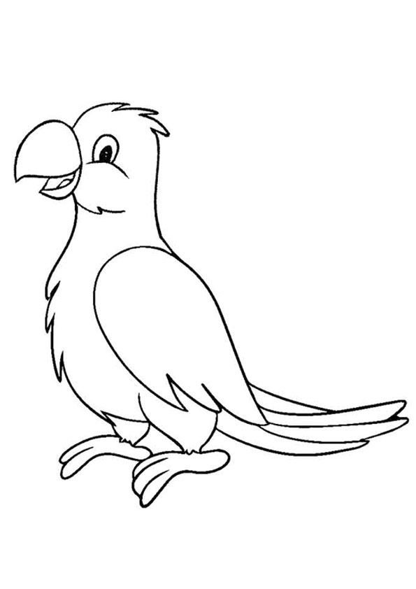 Coloring pages cute parrot printable coloring pages for kids