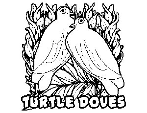 Turtle doves coloring page