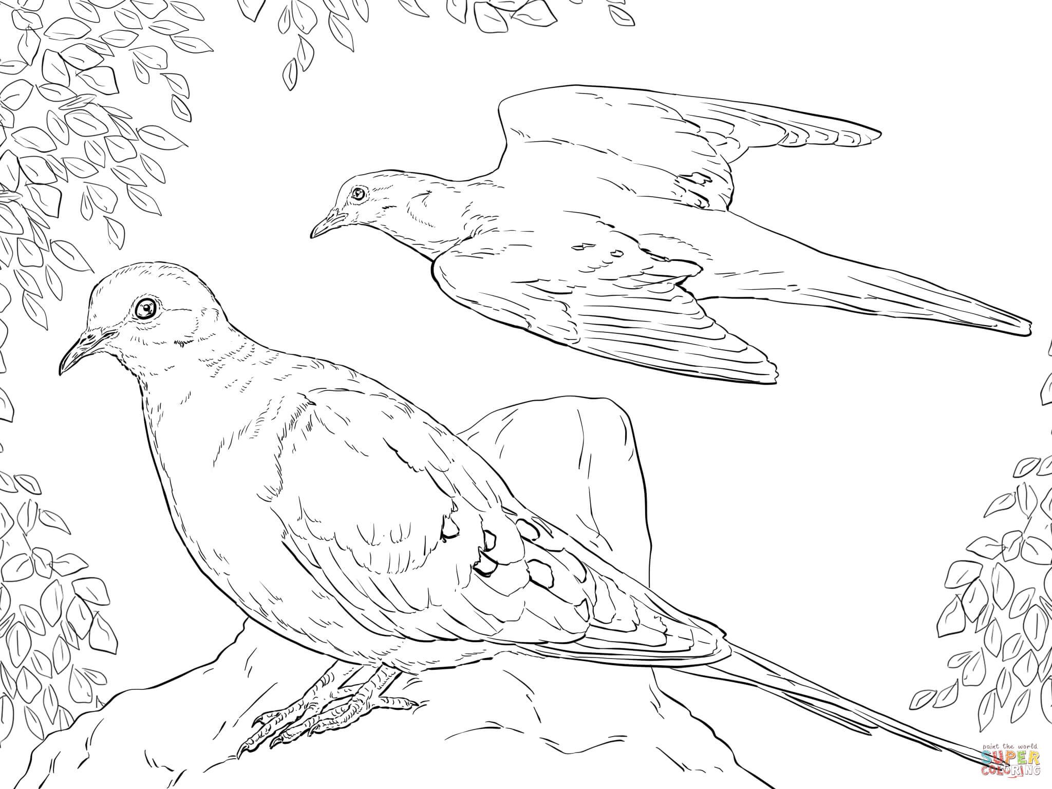 Two mourning doves coloring page free printable coloring pages