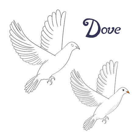 Dove coloring stock illustrations cliparts and royalty free dove coloring vectors