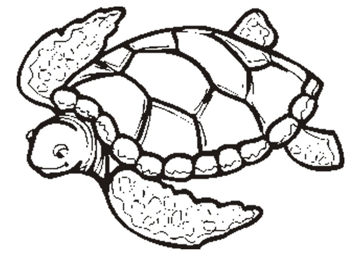 Free printable turtle coloring pages for kids