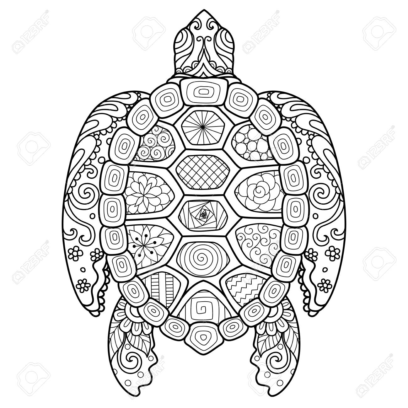 Zendoodle design of turtle for design elementt shirt design and coloring book page for adult royalty free svg cliparts vectors and stock illustration image