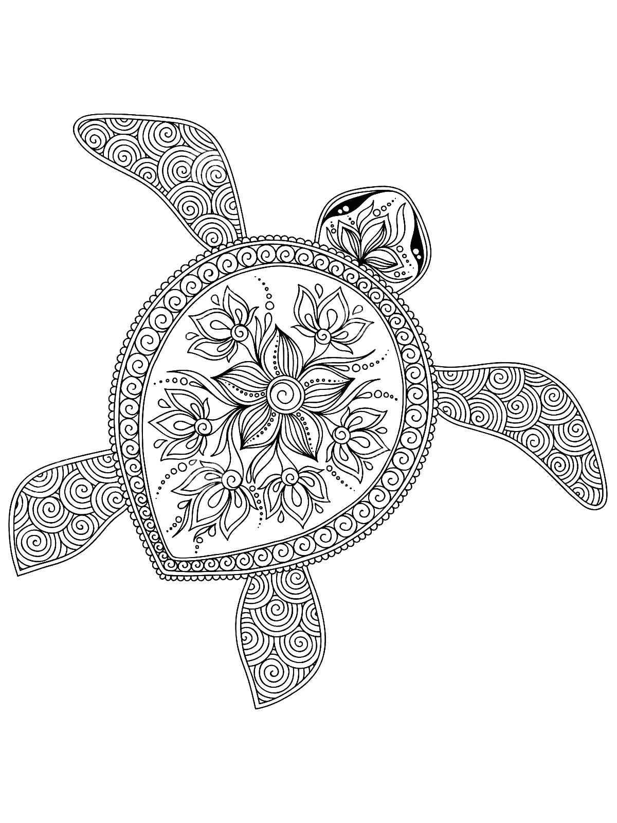 Turtle coloring pages for adults