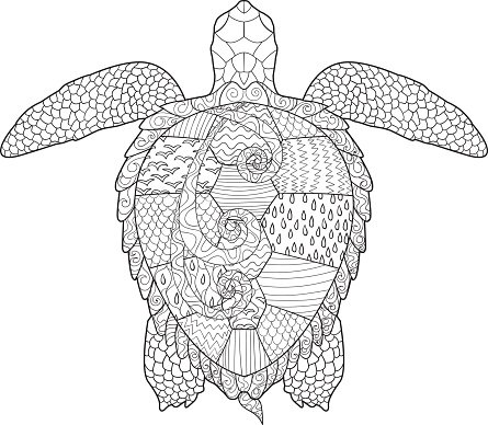 Adult antistress coloring page with turtle stock clipart royalty