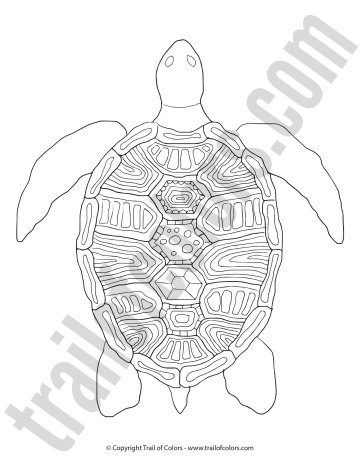 Turtle coloring page for grown ups