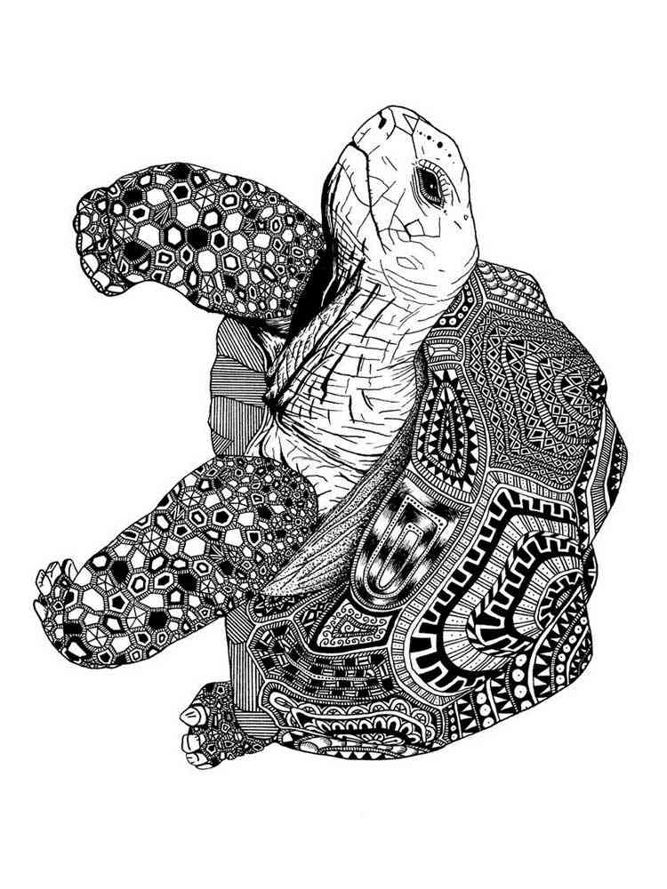 Turtle coloring pages for adults