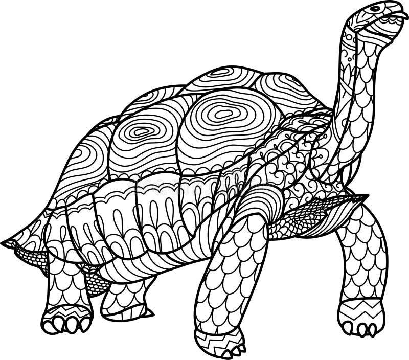 Tortoise adult coloring stock illustrations â tortoise adult coloring stock illustrations vectors clipart