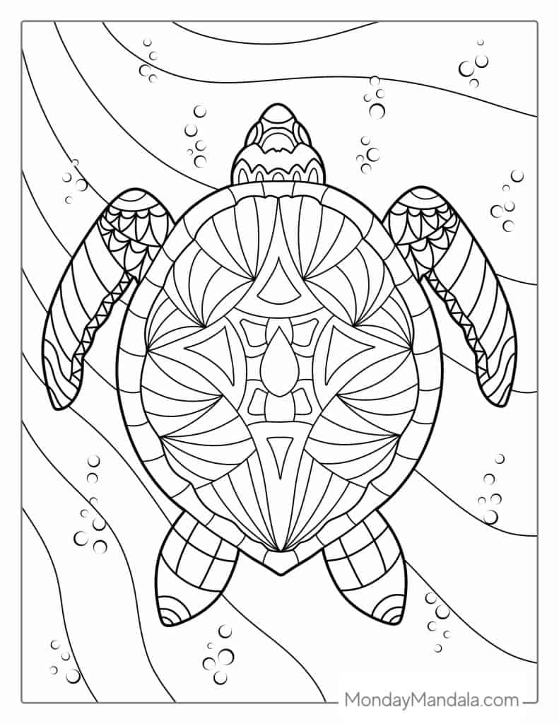 Turtle coloring pages free pdf printables