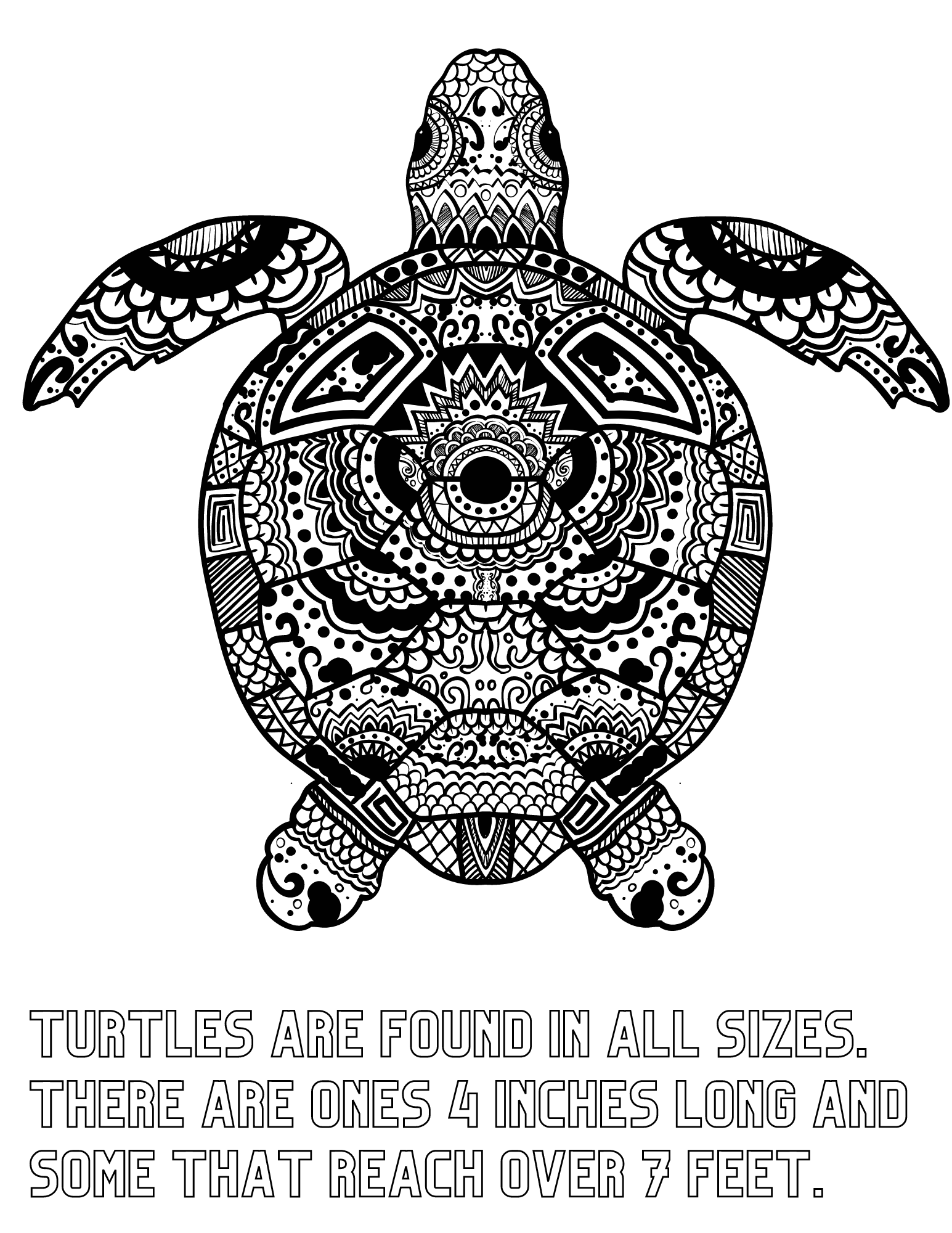 Cute turtle coloring pages and fun turtle facts for kids and adults