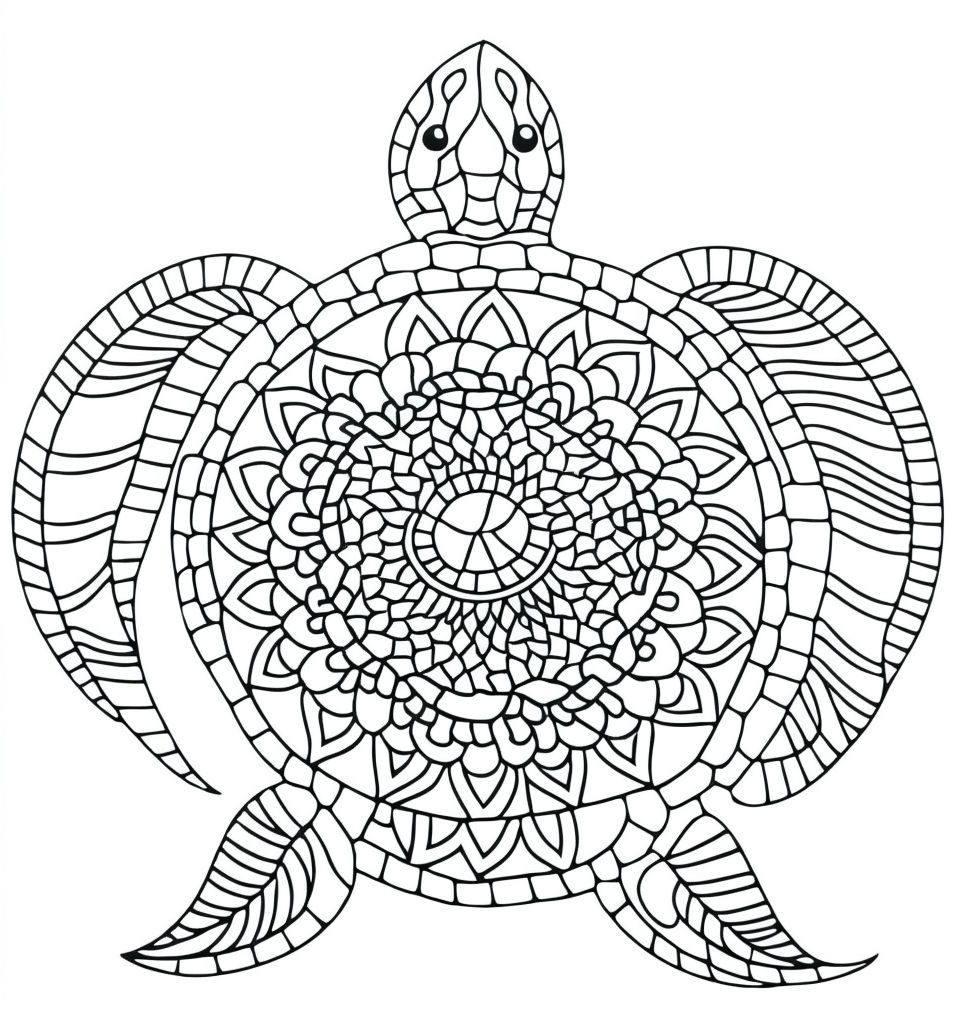 Cute turtle coloring page for kids