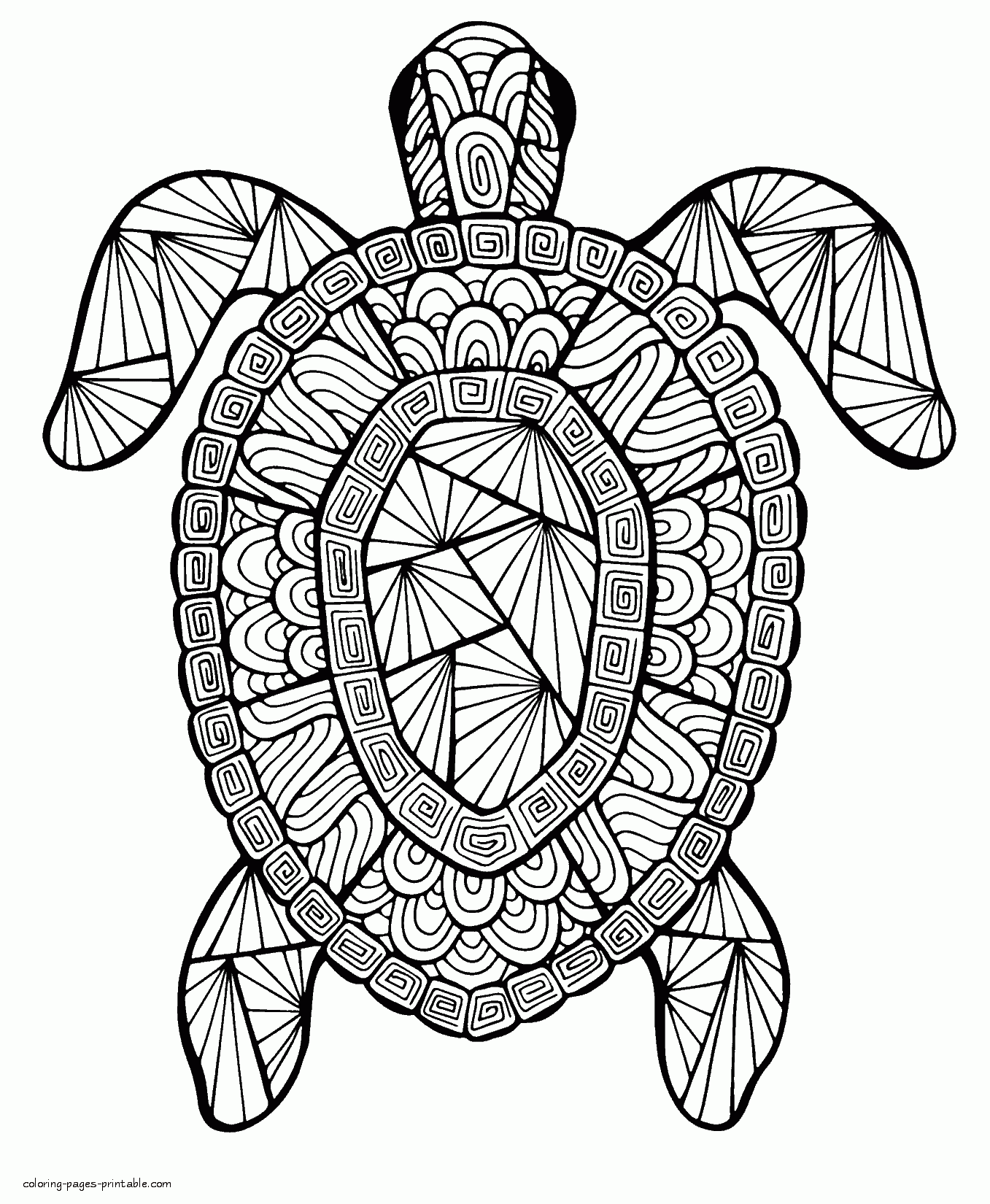 Turtle free coloring page coloring