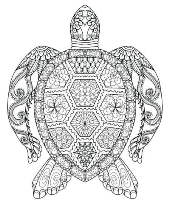 Turtle mandala coloring page