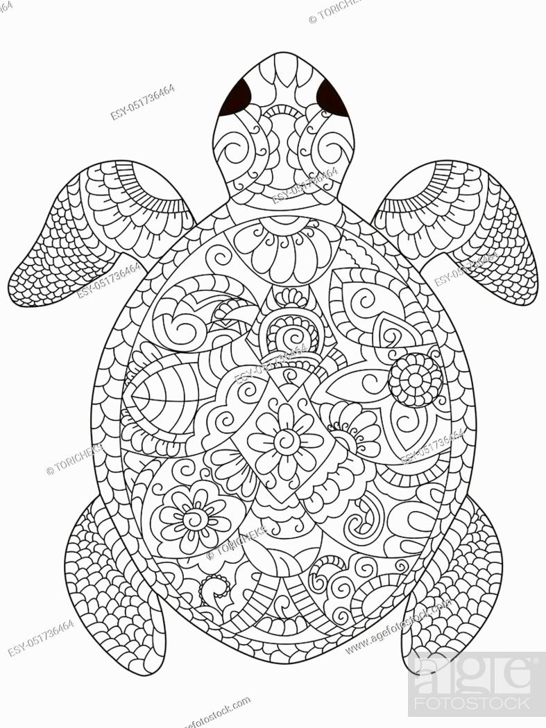 Sea turtle coloring book for adults vector illustration stock vector vector and low budget royalty free image pic esy