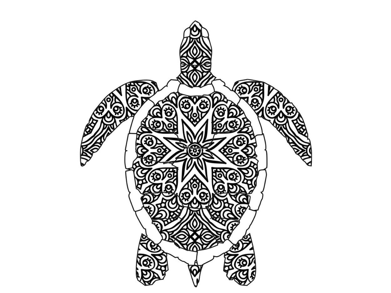 Turtle coloring book for kidsa fun collection of simple abstract turtle designs for kids to color a made by teachers