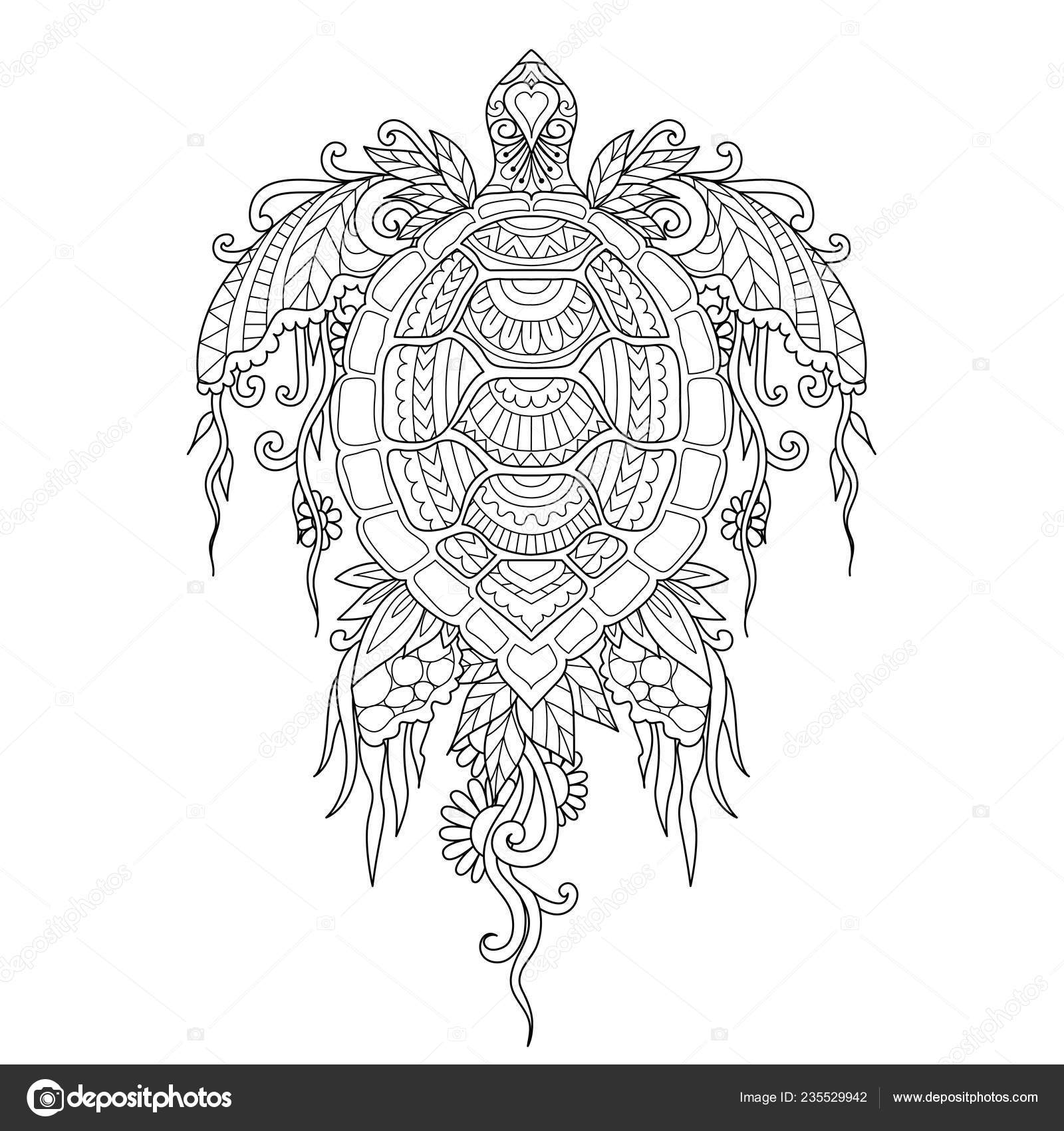 Beautiful turtle corals seaweed body design element coloring book coloring stock vector by somjaicindygmail