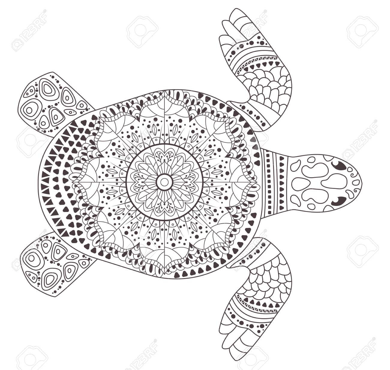 Turtle coloring page vector cartoon isolated art royalty free svg cliparts vectors and stock illustration image