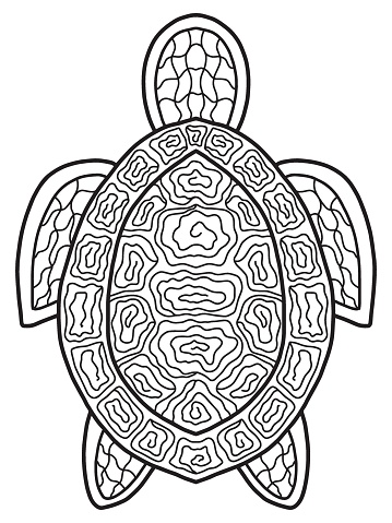 Turtle zentangle coloring page for kids and adults vector illustration stock illustration