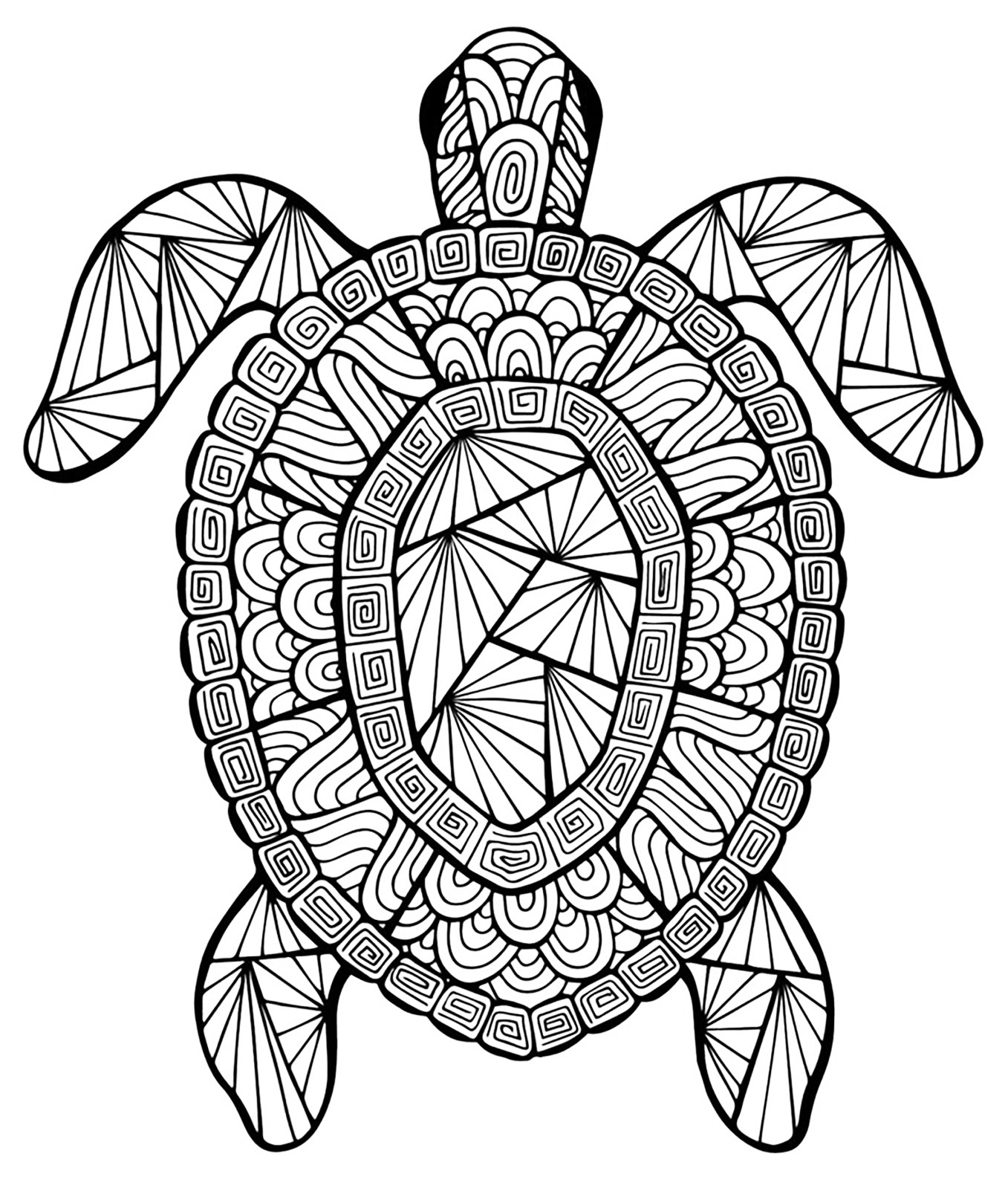 Turtle coloring for kids