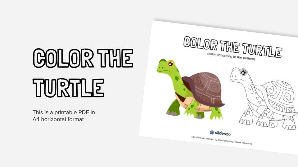 Color the turtle printable coloring worksheet