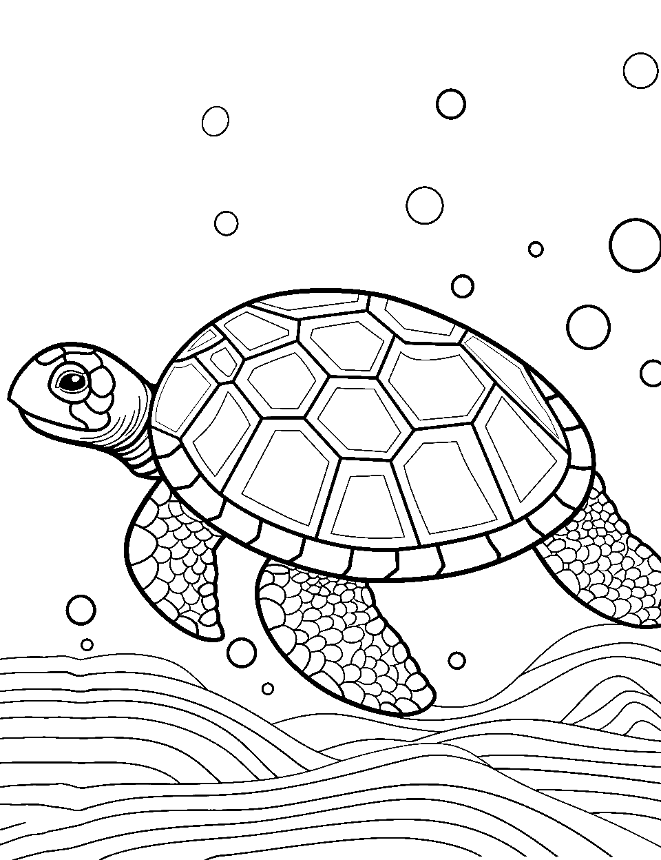 Turtle coloring pages free printable sheets