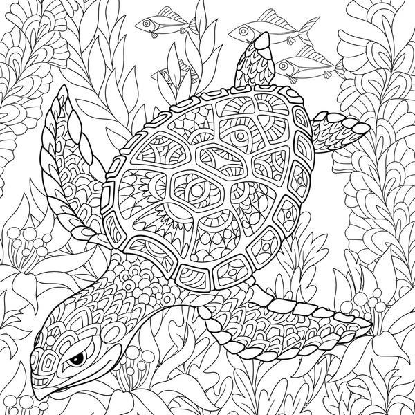 Adult coloring pages turtles images stock photos d objects vectors